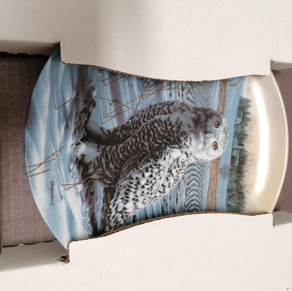 The Snowy Owl Collection Plate - Picture 2 of 6